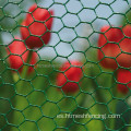 Malla de alambre hexagonal para alimentar a los patos de pollos